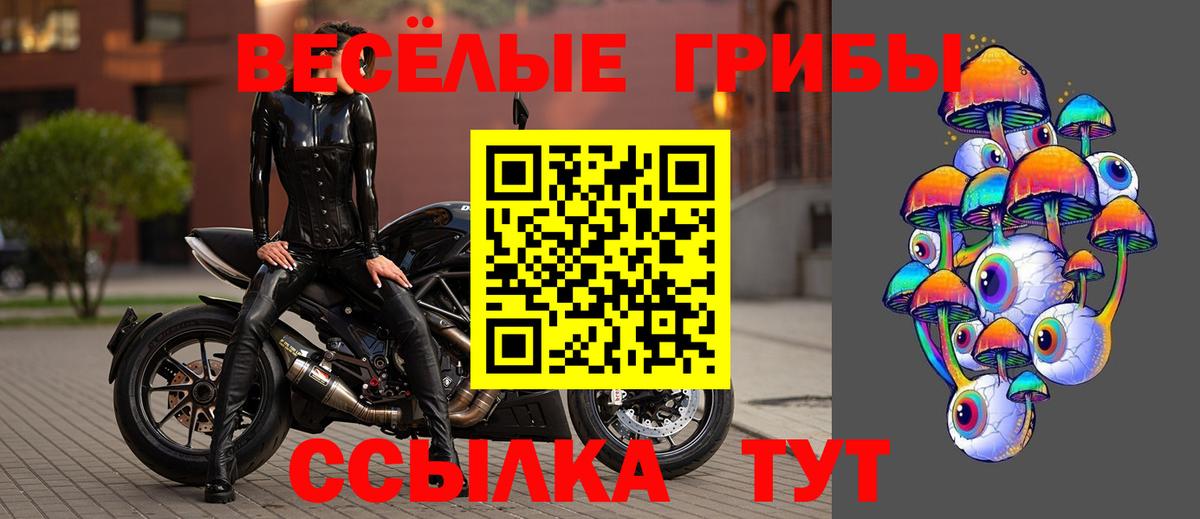 Галлюциногенные грибы Psilocybe  Псилоцибиновые грибы Psilocybine cubensis  Вход с VPN  Менделеевск 